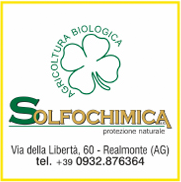 SOLFOCHIMICA S.r.l.